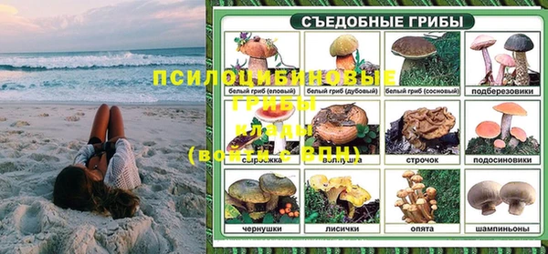 гашик Дмитровск