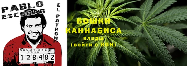 гашик Дмитровск