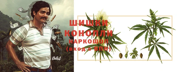 гашик Дмитровск